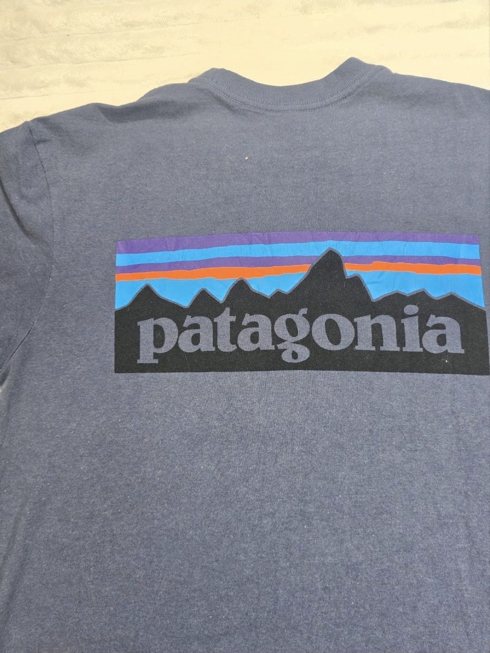 Patagonia Logo Mountain Tee in Navy with Multi-Color Graphic